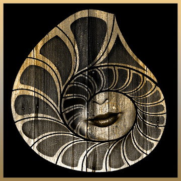 悟弥Goya さんのプロフィール写真