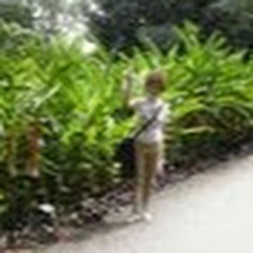 中田照子 さんのプロフィール写真